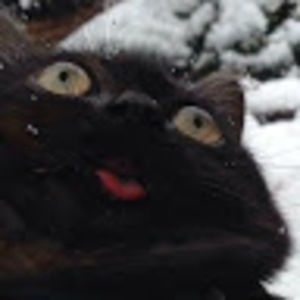 Meet your Posher, Queenofrainbows